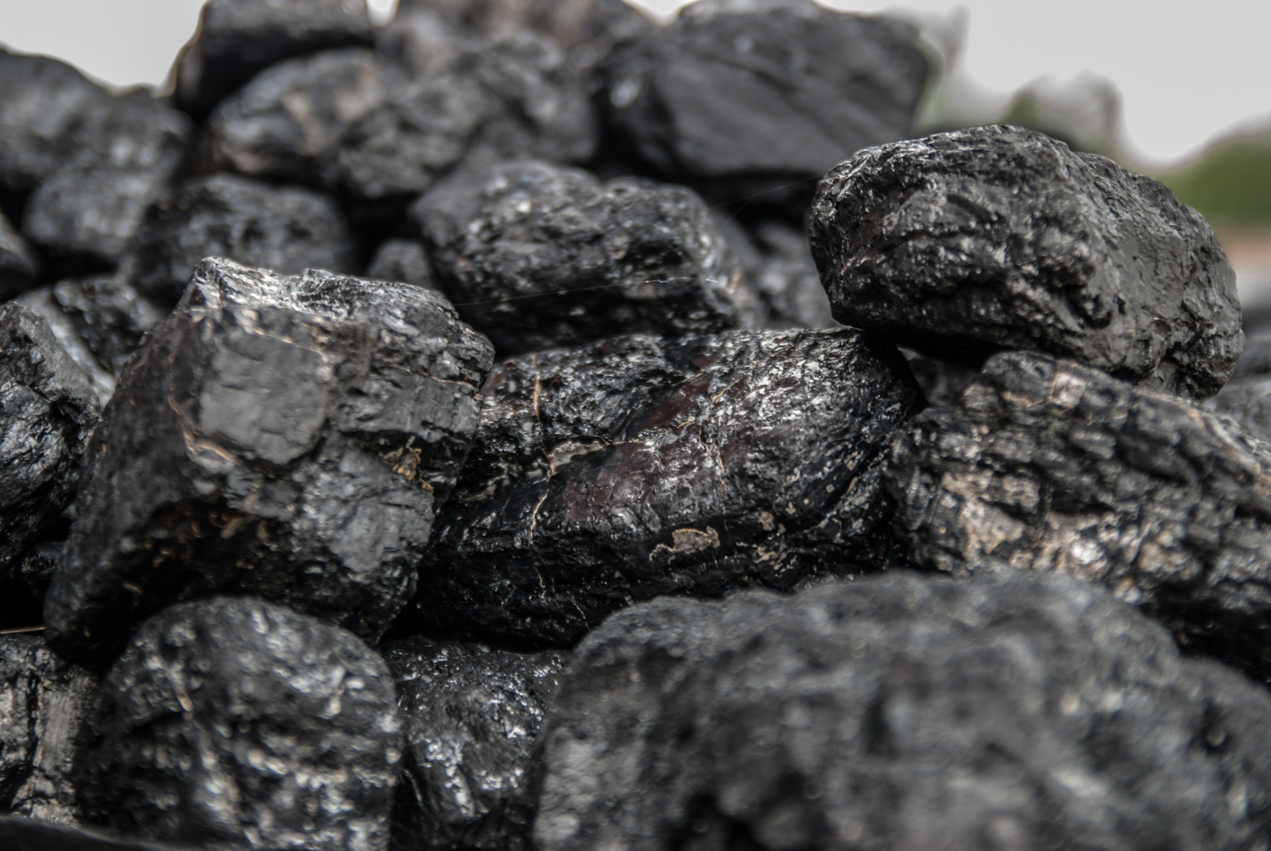 Coal 1 coal1
